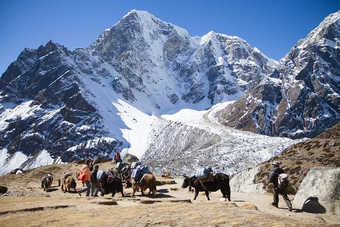Everest Base Camp Trek with Helicopter Return to Lukla - 10 Days - Key things I would focus on