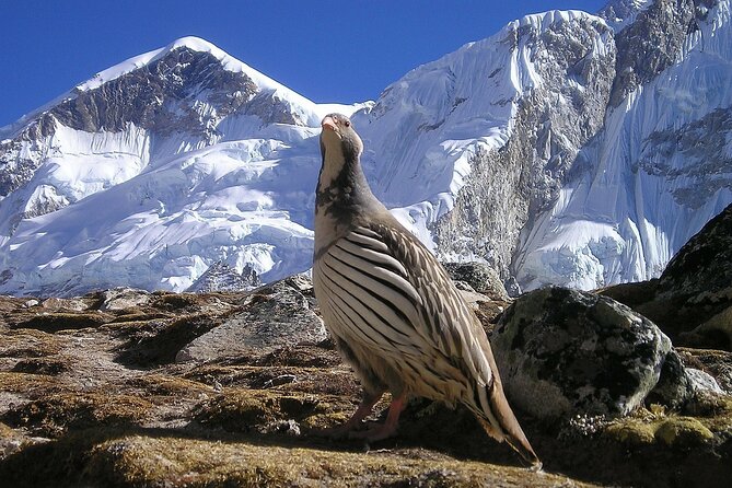 Everest Base Camp Trek with Kathmandu Valley Sightseeing Tour - Everest Base Camp: standing where ambition gets real