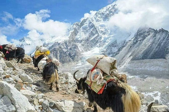 Everest Base Camp With Chola Pass via Gokyo Lakes - Everest Base Camp via Gokyo Lakes and Cho La Pass, what makes it special
