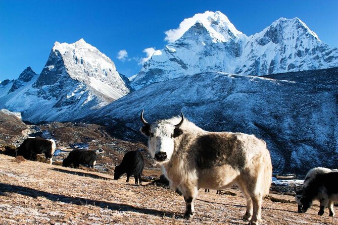 Everest Gokyo Valley Trek - 12 days - Lukla Flight Day: The quick hop that sets the whole tone