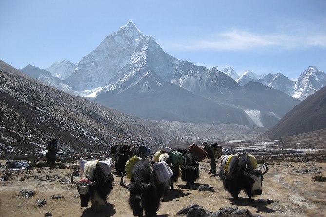 Everest Three (High) Passes Trekking - Pacing, altitude, and weather: the practical reality behind Everest