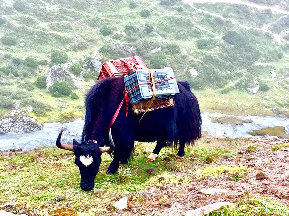 Everest View Trek - 7 Days - Sherpa Villages and Daily Life at Altitude