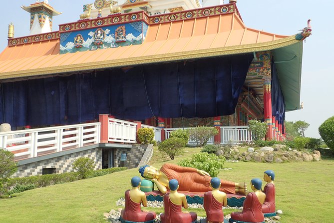 Experiential Tour of Nepal. - Chitwan Safari Time: When Wildlife Sets the Tempo