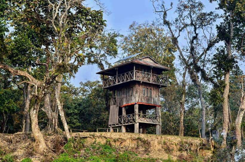 From Kathmandu/Pokhara: 2, 3, or 4-Day Chitwan Jungle Safari - Chitwan Safari Value: Tigers, Rhinos, and a Night That Actually Feels Wild