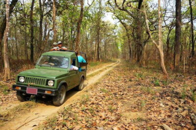 From Kathmandu/Pokhara: 2, 3, or 4-Day Chitwan Jungle Safari