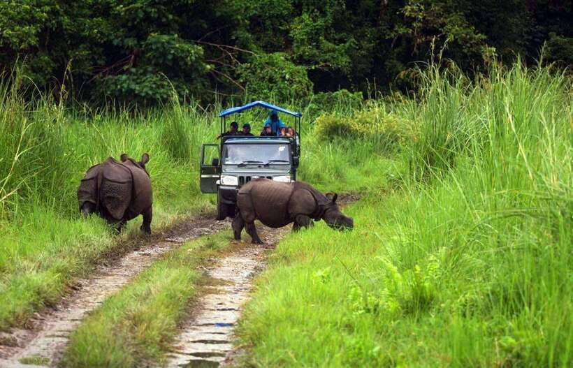 From Kathmandu/Pokhara: 2, 3, or 4-Day Chitwan Jungle Safari - Tharu Village and Cultural Program: A Real Connection to the Region
