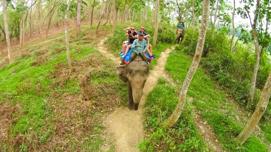 From Kathmandu/Pokhara: 3-Day All-Inclusive Chitwan Safari - Chitwan Safari, in Real-Life Order, Not a Patchwork Day