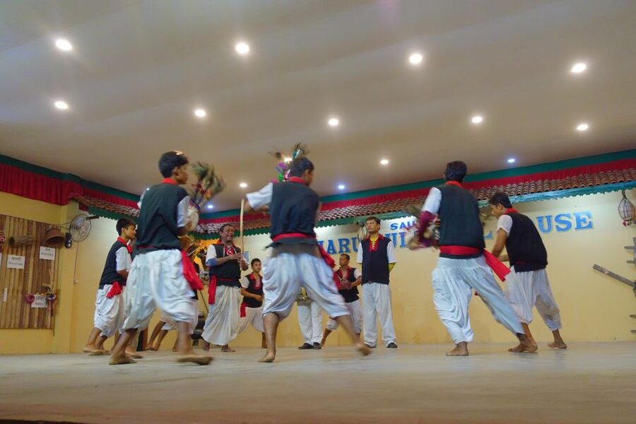 From Kathmandu/Pokhara: 3-Day All-Inclusive Chitwan Safari - Animal Sightings: Great Odds, No Guarantees