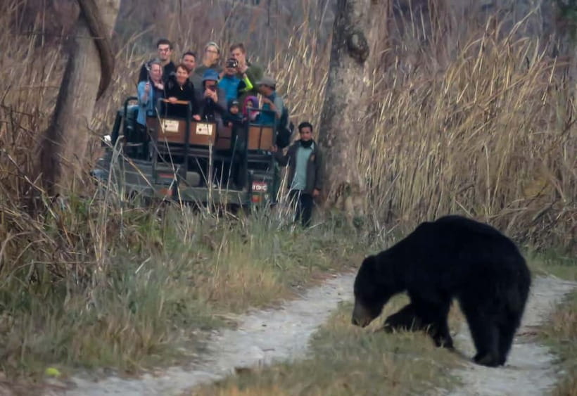 From Kathmandu/Pokhara: 3-Day Chitwan National Park Tour - Day 1: check in, sunset point, and Tharu culture context