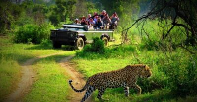 From Kathmandu/Pokhara: Private 3-Day Chitwan Safari Tour