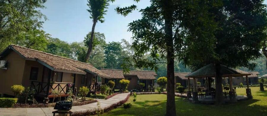From Kathmandu/Pokhara: Private 3-Day Chitwan Safari Tour - Day 3: The guided nature walk that makes the park feel real