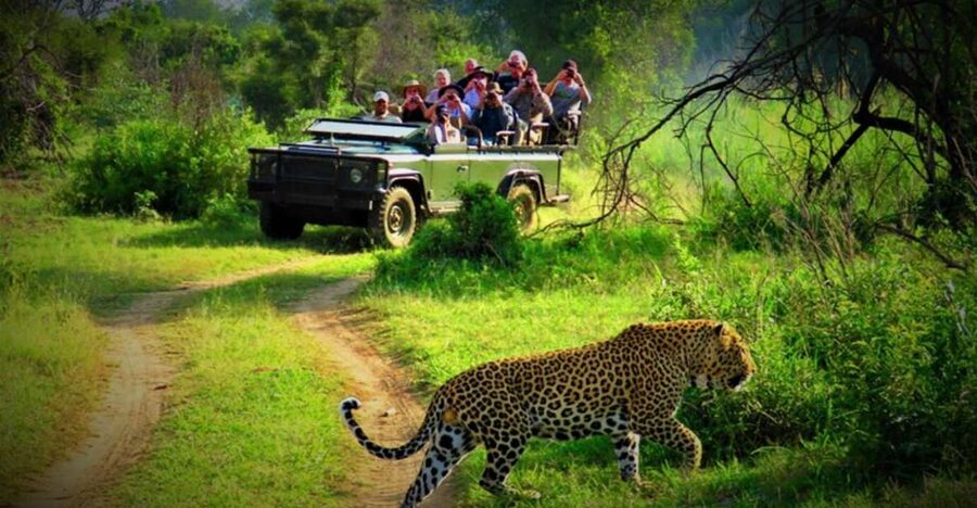 From Kathmandu/Pokhara: Private 3-Day Chitwan Safari Tour - Getting from Kathmandu or Pokhara to Chitwan (without losing your day)