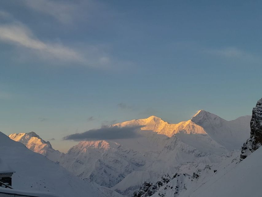 From Pokhara: 10-Day Poon Hill and Annapurna Base Camp Trek - Ulleri steps to Ghorepani: rhododendron woods and first big-range views