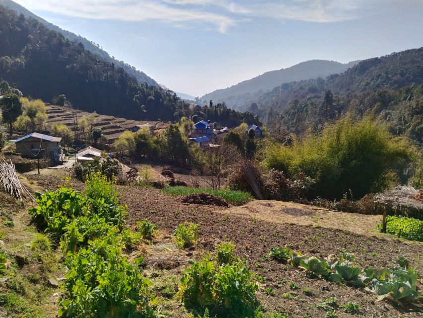 From Pokhara: 10-Day Poon Hill and Annapurna Base Camp Trek - Bamboo via suspension bridge and bamboo-rhododendron corridors