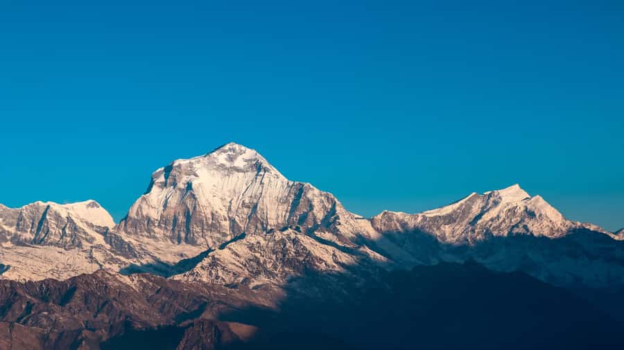 From Pokhara: 3-Day Ghorepani Poon Hill Trek with Guide - Meals, Tea Houses, and the Real Rhythm of Eating on the Trail