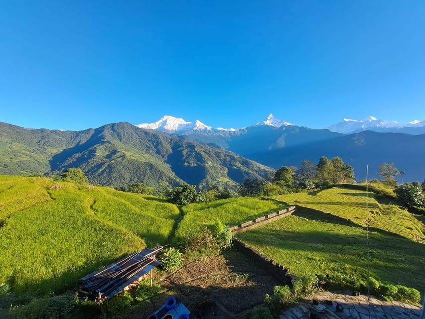 From Pokhara: 3-Day Ghorepani Poonhill Short Trek - Guides, lodge nights, and the permits that keep you legal