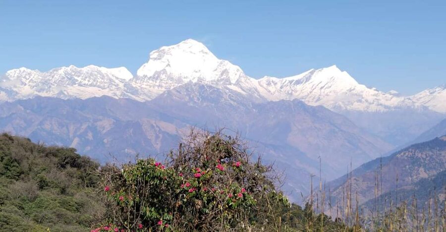 From Pokhara: 4-Day Annapurna and Poon Hill Himalayan Trek - Your 4-Day Route, In Plain Terms