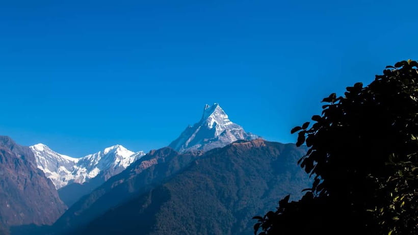 From Pokhara: 4-Day Mardi Himal Base Camp Trek - Day 3, Mardi Himal viewpoint for sunrise, then down to Low Camp