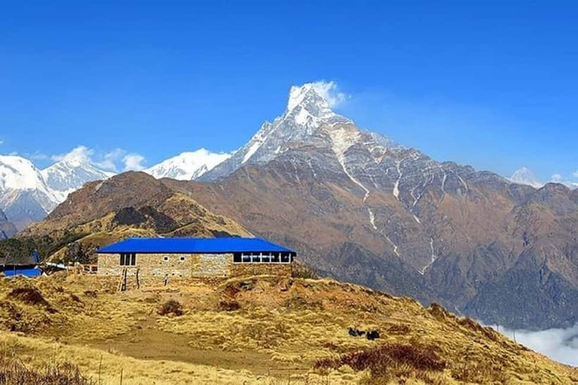 From Pokhara: 5-Day Mardi Himal Base Camp Trek - The guide makes a big difference, from safety to local texture