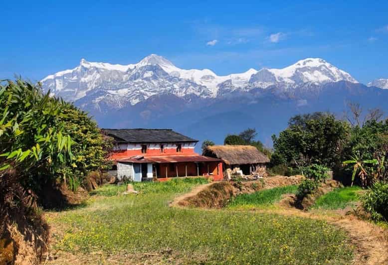 From Pokhara: Annapurna View Day Hike - Kande to Australian Camp: forests, terraces, and those Annapurna views