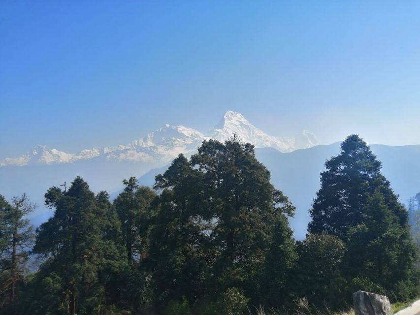 From Pokhara: Budget 2 Night 3 days Poon hill trek - Ulleri Descent and the Return to Pokhara: Steps, Villages, Then Off the Trail