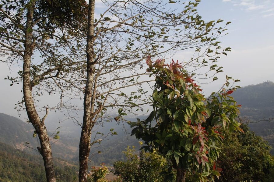 From Pokhara: Day Hiking Australian Camp & Dhampus - Who should book this Pokhara hike, and who might not