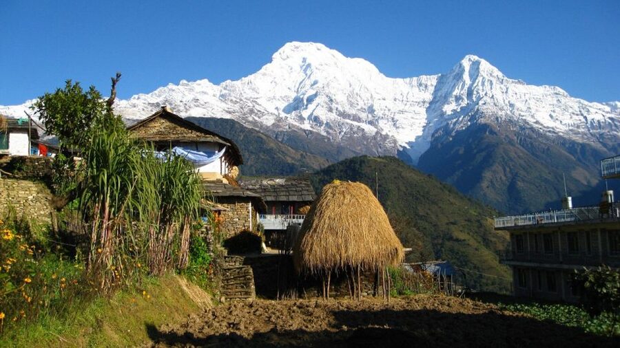 From Pokhara: Guided Tour to Visit 4 Himalayas View Point - World Peace Pagoda: a calm finish with Buddhist context