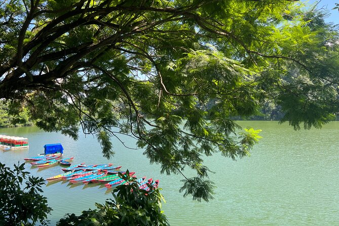 From Pokhara : Hiking to Peace Pagoda via Fewa Lake & Jungle - The guided jungle hike: short effort, forest variety