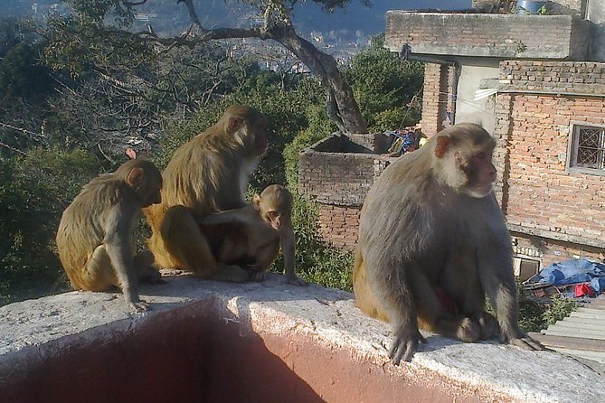 Full Day Kathmandu City Sightseeing Tour of UNESCO Heritage Sites - Patan temples: Krishna Mandir, Bhimsen, and Taleju Bhawani