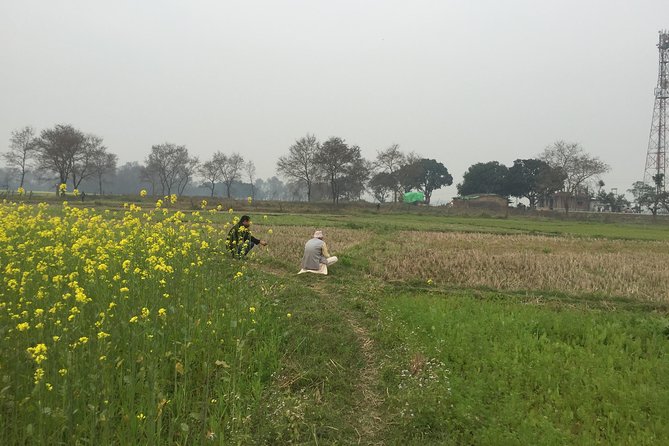 Full Day Lumbini Tour - Timing and walking: a day that stays manageable