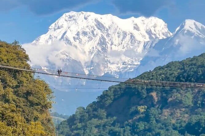 Full day Suspension Bridge, Boating, George, Sightseeing Tour - Key highlights worth planning around