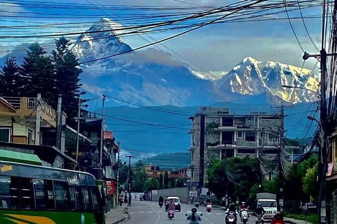 Full day Suspension Bridge, Boating, George, Sightseeing Tour - A Pokhara “hits and meaning” route that actually makes sense