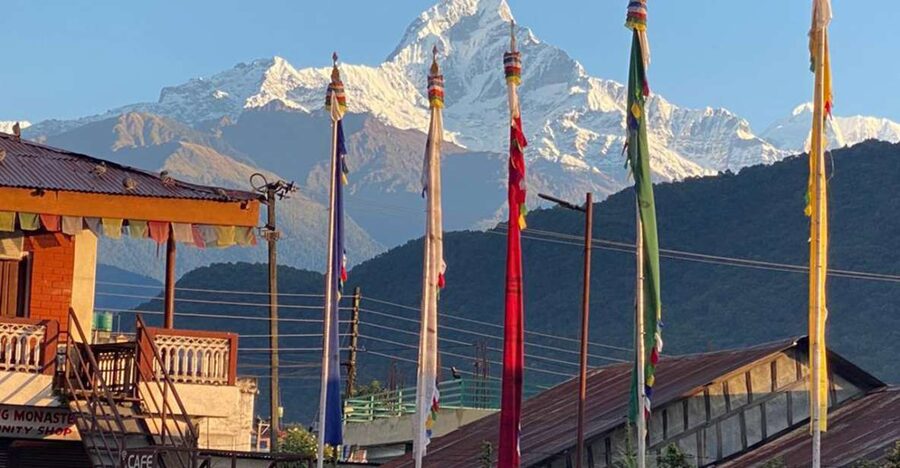 Full Day Tibetan Cultural Tour - From Lakeside Pickup to a Full Day’s Worth of Tibetan Connections