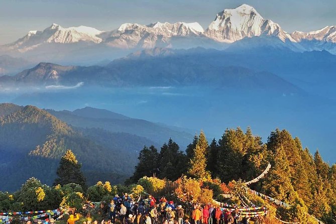 Ghorepani Ghandruk Trek ( Poon Hill circuit, Annapurna sunrise view trek) - Tadapani to Chhomrong: Morning Views, Then Down and Up