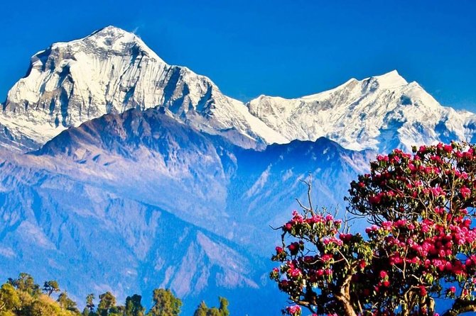 Ghorepani Poon Hill Sunrise Trek - Poon Hill sunrise at 6:15 am, and why it matters