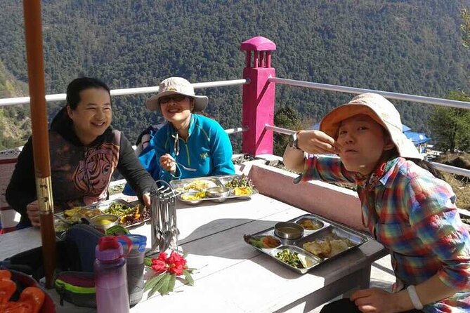 Ghorepani Poon Hill Sunrise Trek - Day 3 warm-up: Nayapul to Tirkhedhunga