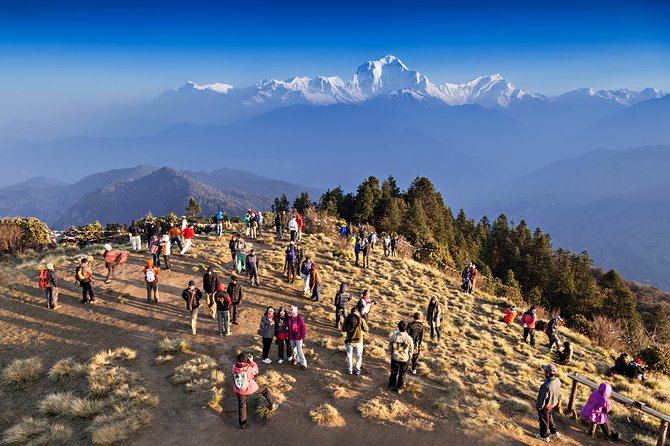 Ghorepani - Poon Hill Trek – 5 DAYS - Day 1 Kathmandu: welcome dinner and time to reset