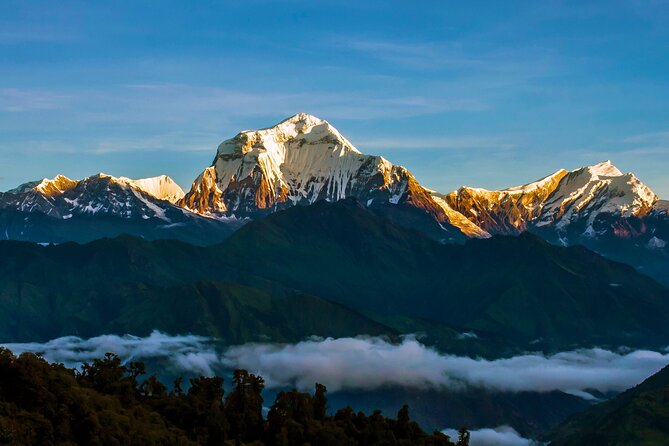 Ghorepani - Poon Hill Trek – 5 DAYS - Day 5 Annapurna farewell and flight back to Kathmandu