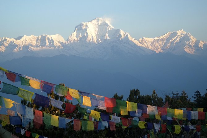 Ghorepani Poon Hill Trek - Price and logistics: what $399.67 actually buys
