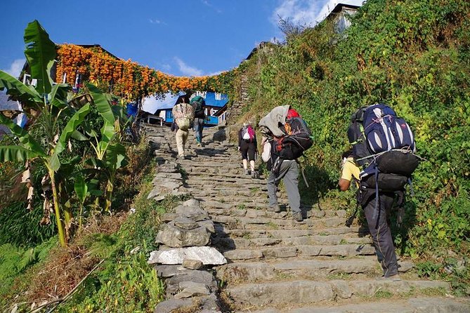 Ghorepani Poon Hill Trekking - Day 1 from Pokhara to Birethanti, then Tikhedhunga’s stone stairs