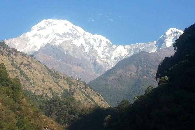 Ghorepani Poon Hill Trekking - Day 4 downhill to Ghandruk, where village life takes over