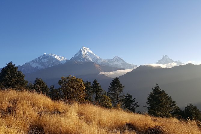 Ghorepani Poonhill Hiking Nepal - Key highlights