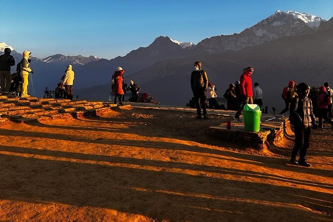 Ghorepani Poonhill Private Trek - 2 nights / 3 days - Ulleri toward Ghorepani: rhododendron forests and stone stair stamina