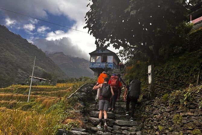Ghorepani Poonhill Private Trek - 2 nights / 3 days - Poon Hill sunrise at 3,210 m, then the drive back from Ulleri