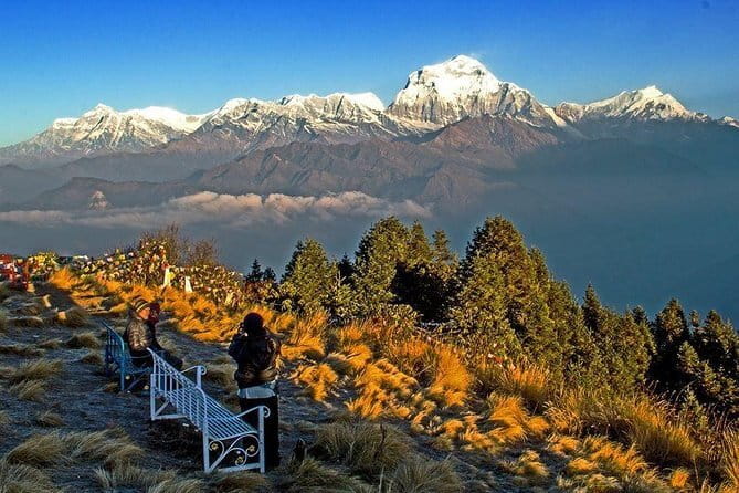 Ghorepani Poonhill Trek - Key Highlights You Actually Feel on the Ghorepani Poonhill Trek