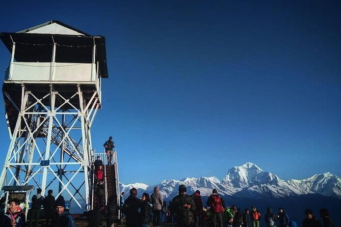 Ghorepani Poonhill Trek (6 Days) - Key Points Worth Knowing Before You Go