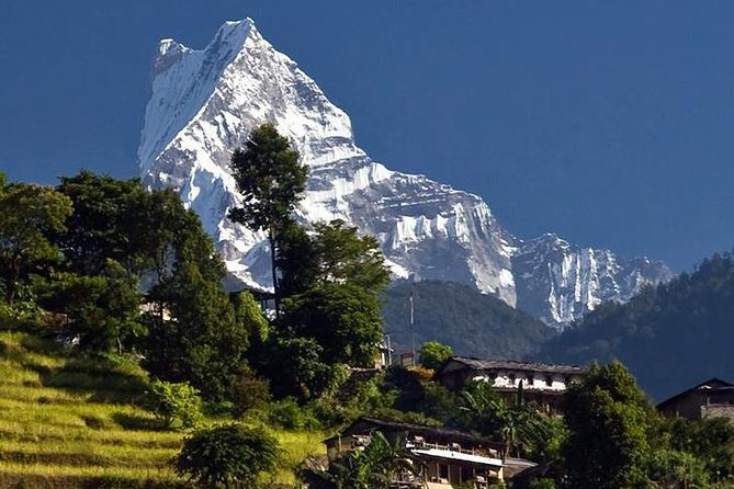 Ghorepani Poonhill Trek -8 Days - Ghorepani Down, Ghandruk Up Time: Easy Walking That Still Feels Rewarding