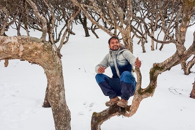 Gokyo Lake trek(gokyori trek, Chola pass trek, Renjola pass trek) - Getting support on the ground: what organization looks like here