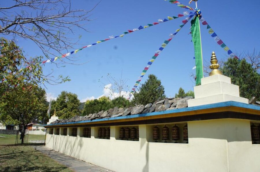 Half day Tibetan cultural tour - Tibetan Medicine: Meet a Doctor and Hear Traditional Treatments Explained