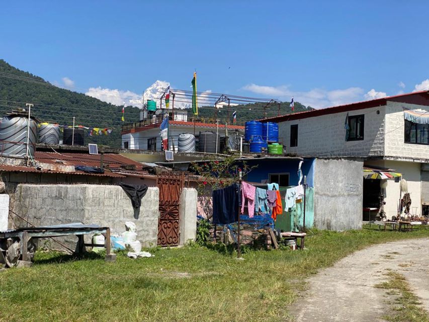 Half day Tibetan cultural tour - Price and Logistics: Is It Good Value at $61?